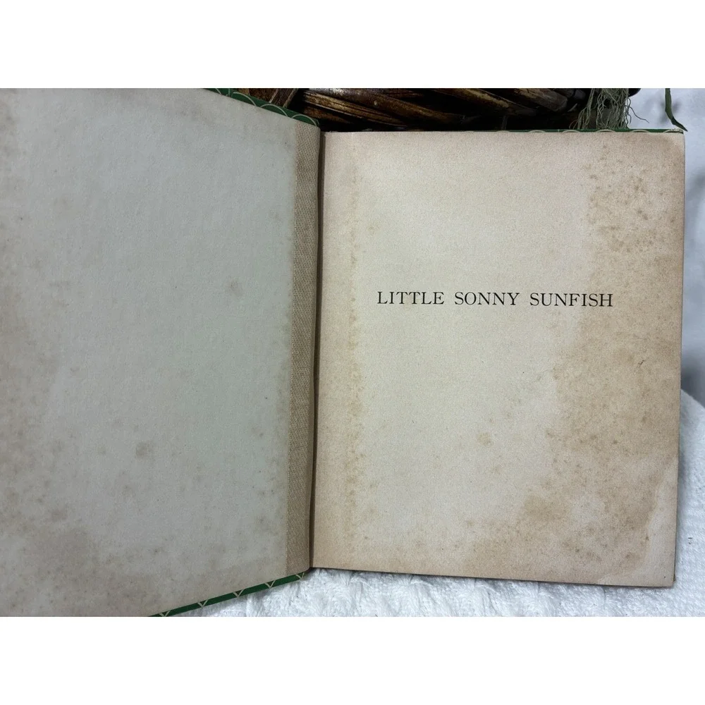 Little Sonny Sunfish Elizabeth Gale Vintage 1937 Children's Book Rand McNally